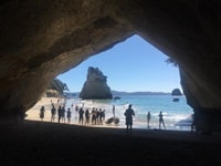 カセドラル・コーブ